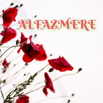 Welcome to #Alfazmere world 🗺 It's writing and task group. ❤️ Join us and feel like poet. ❤️ For add contact admin @BeingThakurain & @RoyalRajputni 👈👈