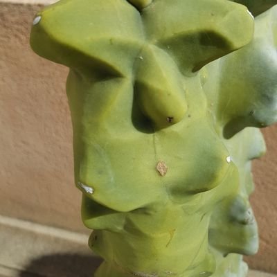 DHandreke's profile picture. UX Sound Design & Musical Instrument Development