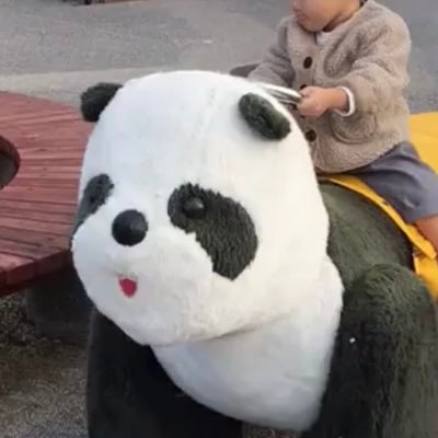yuifish04's profile picture. 