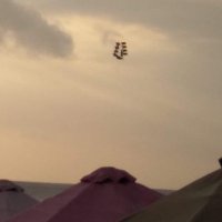 Amapolablanca (@amapolablanca11) 's Twitter Profile Photo