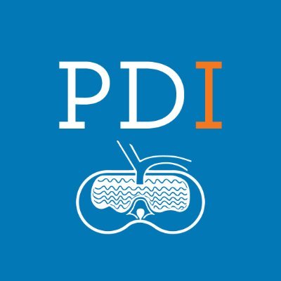 PDI_Journal Profile Picture