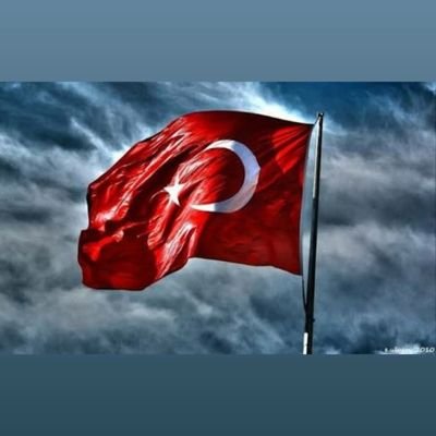 yusufyilmaz31's profile picture. halısahada kaleci ve dünya genel müdürü