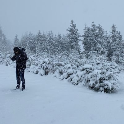 Timo_TJ_Daems's profile picture. Hello