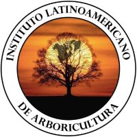 ILA Arbor (@inlarbor) 's Twitter Profile
