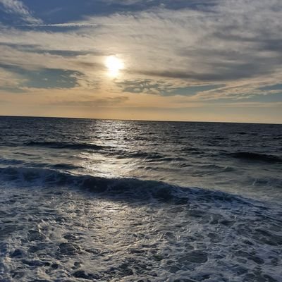 medo_afandy's profile picture. 