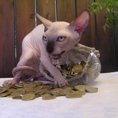 #Crypto and #DeFi explorer, content writer, FOMO af