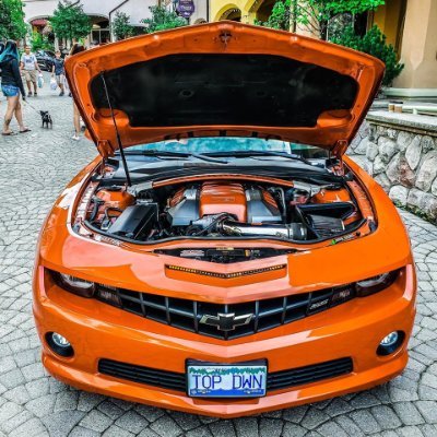 TopDwnSS's profile picture. Kick streamer and kind of a big deal....not really  
https://t.co/1r3DDAHGoq