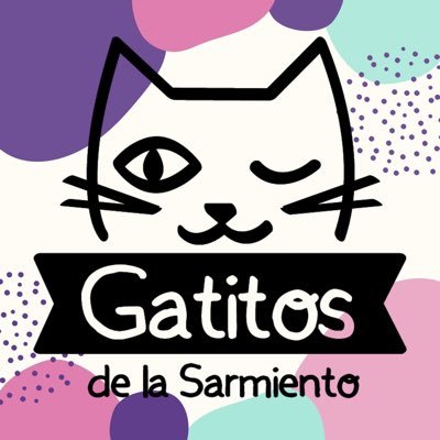 Nuestra misión es mejorar la calidad de vida de los gatitos que rescatamos, rehabilitarlos y cerrar su círculo dándolos en adopción. Ig: @gatitosdelsalon