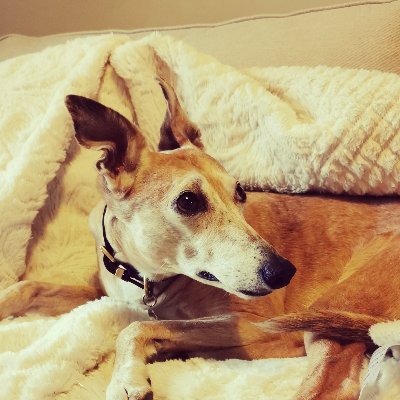 HelenBa41404303's profile picture. 