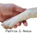 Perros & Amos (@perrosamos) Twitter profile photo Perros & Amos (@perrosamos) Twitter profile photo