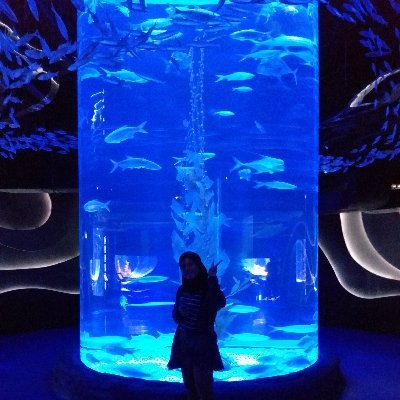 wdaast's profile picture. pharmacist
ig: @wdaast