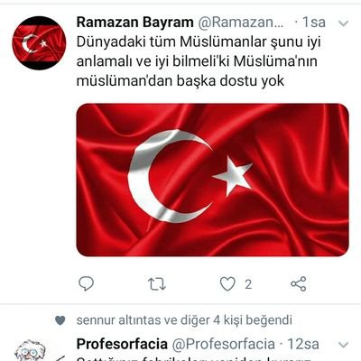 @SahimeZ