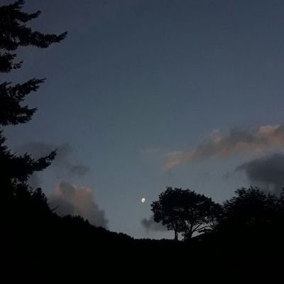 IWILLSUCCESSFU1's profile picture. 