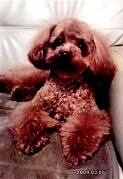 tamariver8's profile picture.