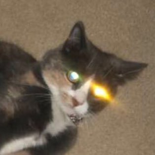 treymcl3's profile picture. 