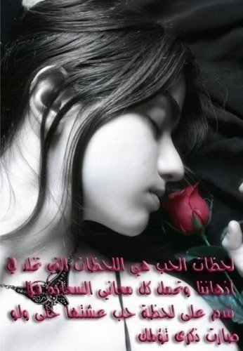 smoka12's profile picture. 