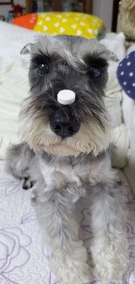 blackberry7230's profile picture. 