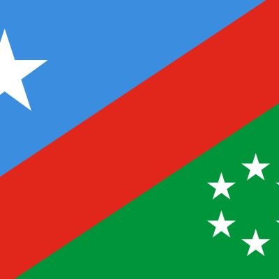 SWS commission for Refugees and IDPs Profile