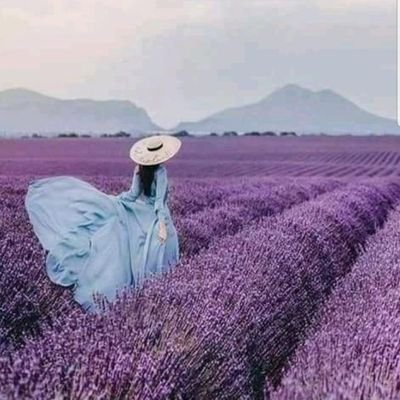 f5fTdSGj37CvC4T's profile picture. 