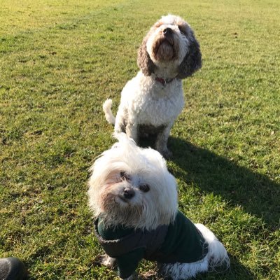 davidpbwatson's profile picture. taking care of a few people