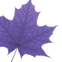 Laurier Women Entrepreneurship Centre(@LaurierWEC) 's Twitter Profile Photo