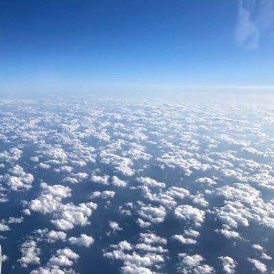 NorahMoammar's profile picture. Family ❤️ & just curious..