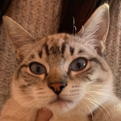 liviaさんのプロフィール画像