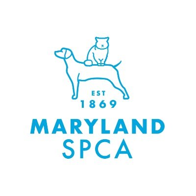 We’re the Maryland SPCA! A non-profit animal shelter located in Baltimore Maryland that helps thousands of homeless pets each year. #MDSPCA