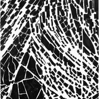 Elena Gluth (@elena_gluth) 's Twitter Profile