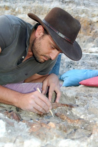 Paleontólogo, científico titular del @mncn_csic Estudio anatomía funcional, paleoecología y taxonomía de mamíferos fósiles. Codirector del Proyecto Batallones