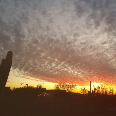 BackingPacker_1's profile picture. 