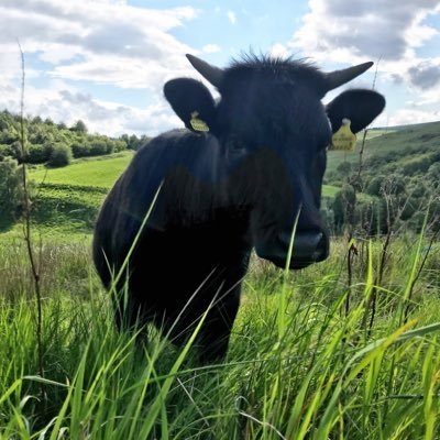 Tweets by Nikki of GrampianGraziers. Wild Farming. Food Systems. Home of #TheWeeMob Works at @PastureForLife | PhD student - Agroecological Transitions