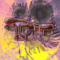 Tripmusic__ (@tripmusic4) 's Twitter Profile Photo Tripmusic__ (@tripmusic4) 's Twitter Profile Photo