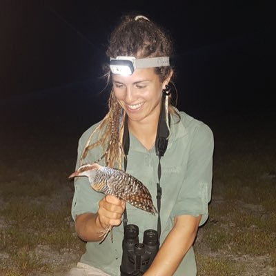 Ecologist, Drone Pilot, Birder, Naturalist | All things science + wildlife | PhD: Island restoration and seabirds @MonashUni, Tasmanian Devils + Quolls @UTAS_