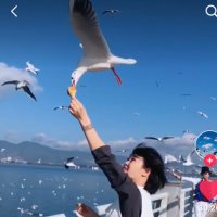 千山鸟飞绝 (@wangdany2017) 's Twitter Profile