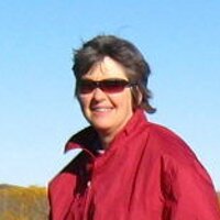 Desi Fradgley (@flashsaver) Twitter profile photo