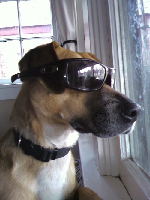 capulinflicker's profile picture. Colorado native, avid outdoorsman, Denver and CU sports fanatic