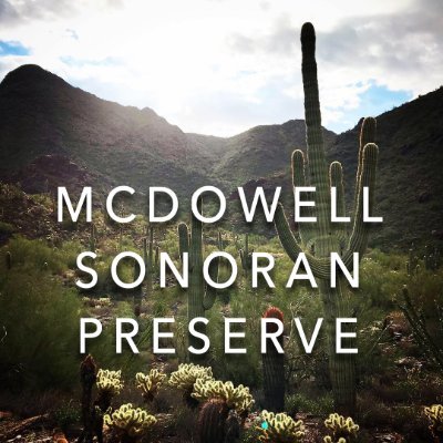 We quit twitter. Follow us on #Instagram @ mcdowell_sonoran_preserve or #facebook @ mcdowellsonoranpreserve