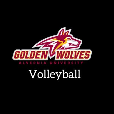 The official Twitter for the NCAA DIII Alvernia University Men's Volleyball Team