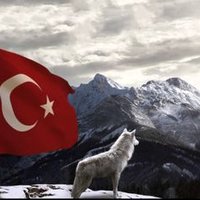 🇹🇷Şevki AYDIN1071🇹🇷(@SevkiAYDIN1071) 's Twitter Profile Photo