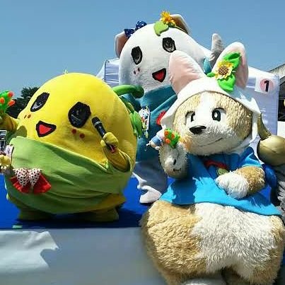 あすか(ペアンヌ命名なすか、ふにゃ命名いちごGL、チームやべーごろー)さんのプロフィール画像