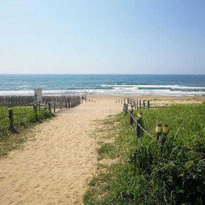 33Vnm75J4gDm8's profile picture. 