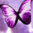 delicate_purple's profile image