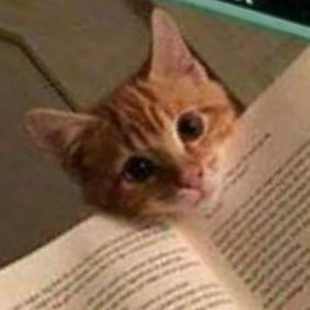 wonderingstarz's profile picture. a long time ago, we used to be friends but I haven’t thought of you lately at all.