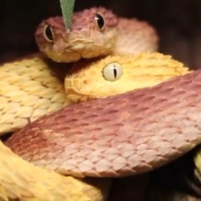 DontTouchAtMe's profile picture. 