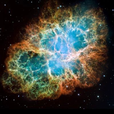 loopCloop's profile picture. 