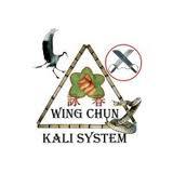 KaliSystem's profile picture. Wing Chun is known for it's trapping hands and is based on simple principles making it effective for real street fighting.