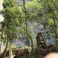 nemo (@nemo88) 's Twitter Profile