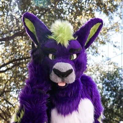 I'm a roo! 25 | Bisexual | CO fur | Apolitical | @houndinthefox is leashed by me | suit by @WaggeryCos