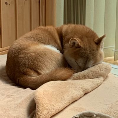 tys_scc_1031's profile picture. Sendai/MBTI：ENFJ-A / RADIO | MUSIC | SPORTS